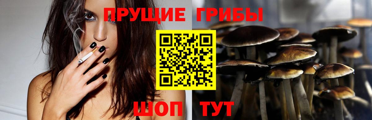 даркнет сайт  Вход с VPN  Галлюциногенные грибы GOLDEN TEACHER  Киселёвск  Галлюциногенные грибы ЛСД 